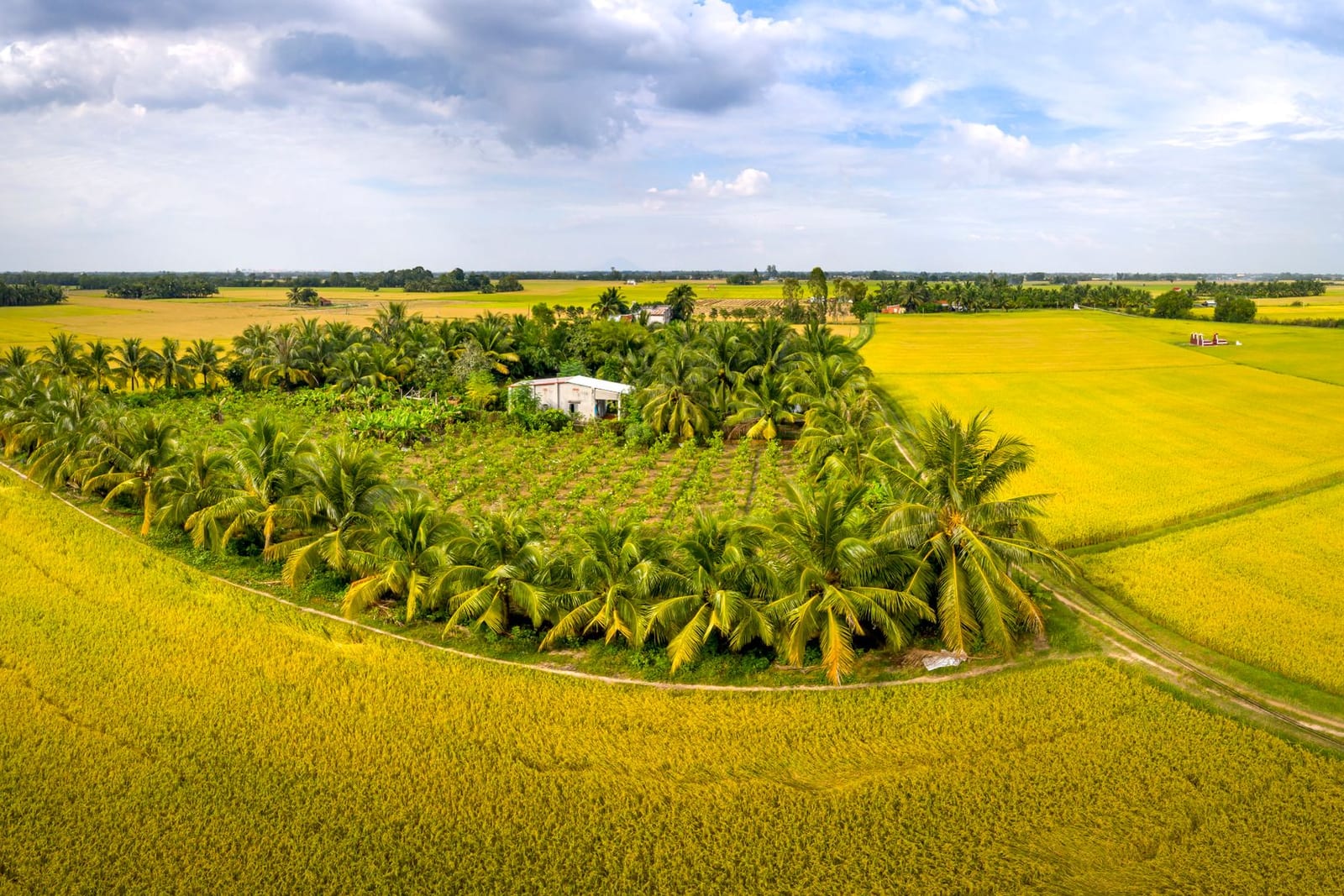 1395sqm Land for Sale — GRA Phase 2 — plot