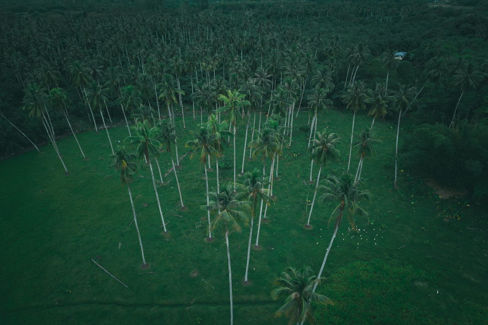 1244sqm Land for Sale — Wharf Road — plot