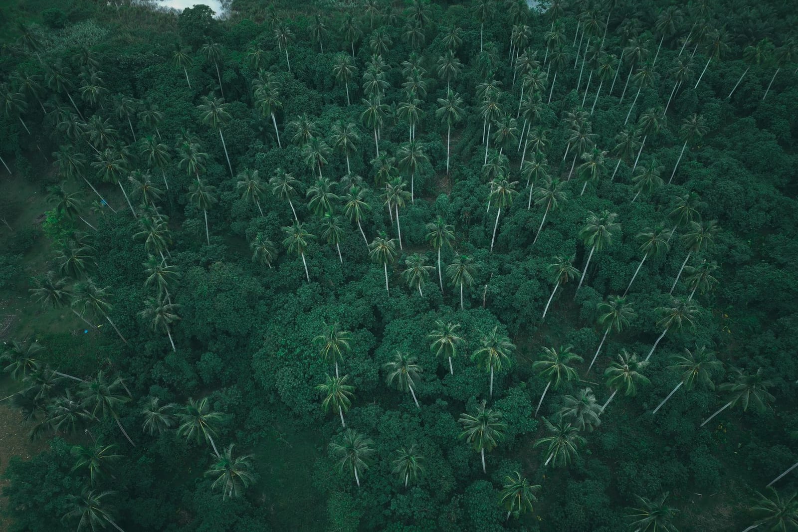 1244sqm Land for Sale — Wharf Road