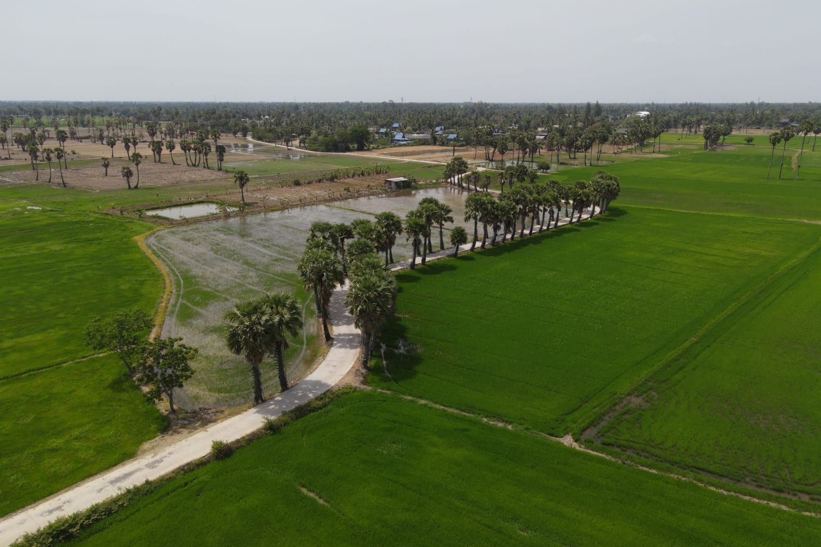 1244sqm Land for Sale — Wharf Road — plot