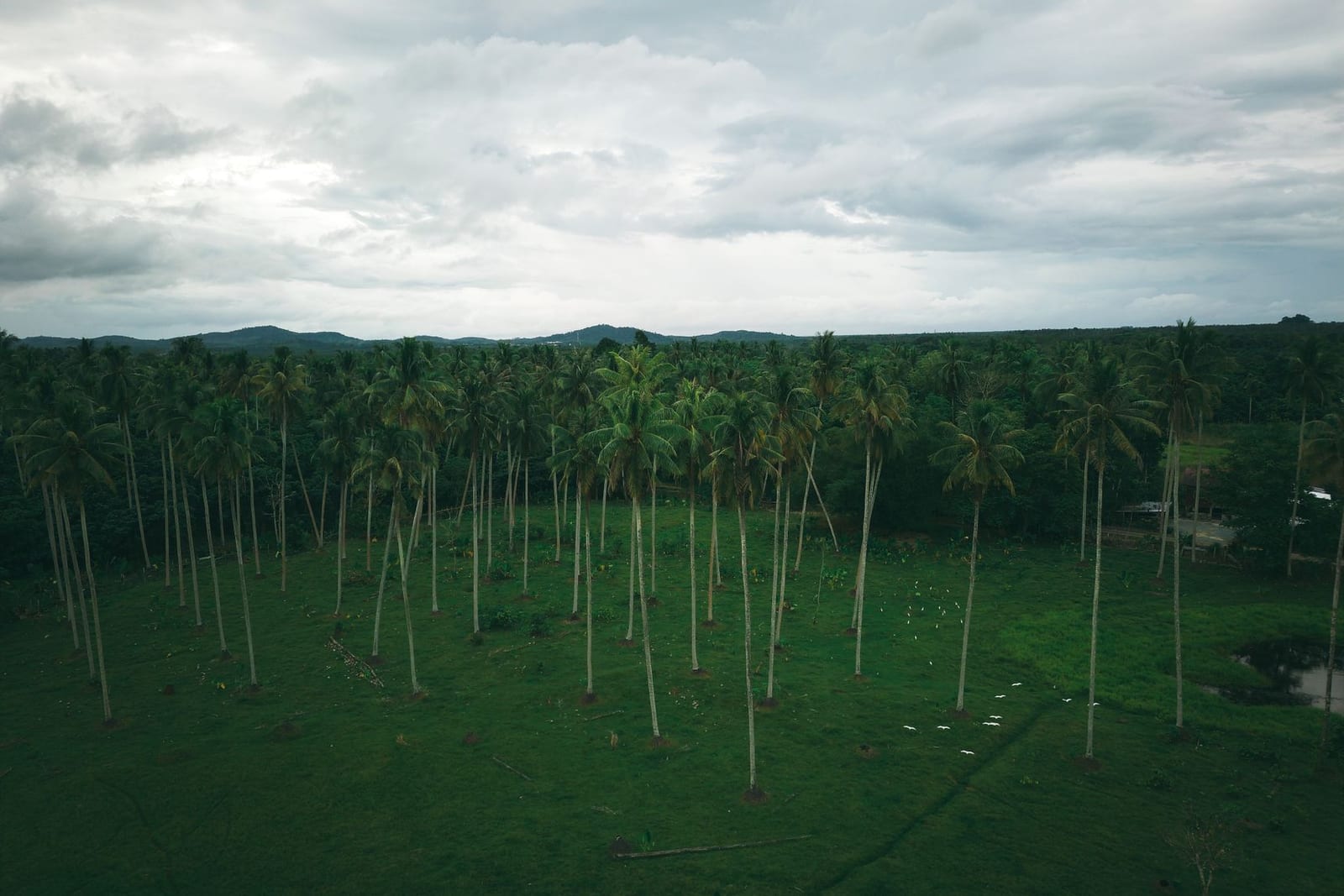 1683sqm Land for Sale — Onireke